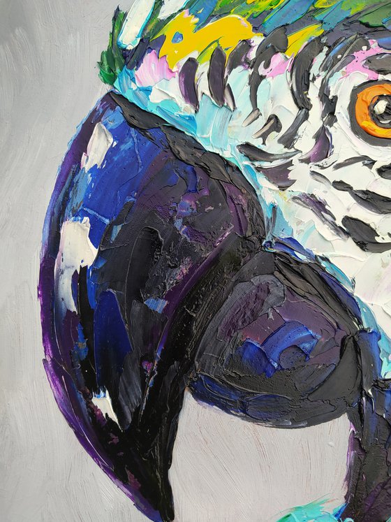 Brightness - oil painting, portrait bird, parrots, birds oil painting, painting, gift, parrots art, art bird, animals oil painting