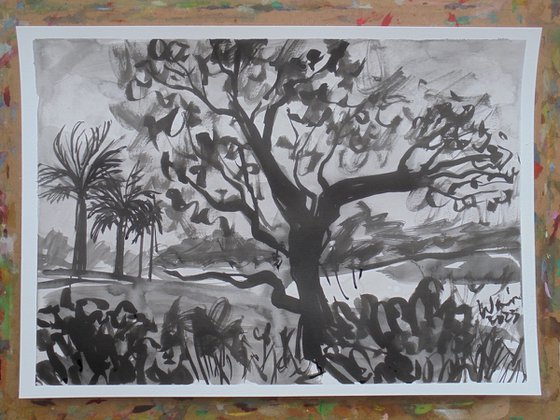 Ink study Jacaranda in Nueva Andalucia II