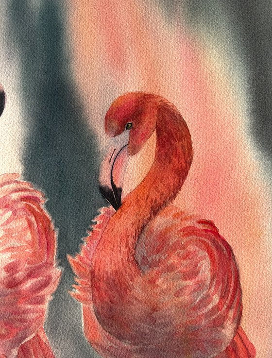 Flamingo