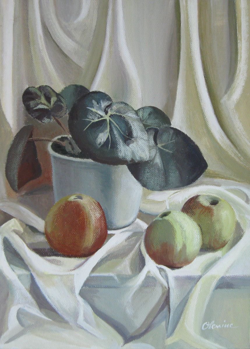 Apples and plant by Elena Oleniuc