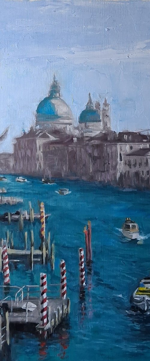 The Grand Canal from Ponte dell'Accademia by Steffan Johnson
