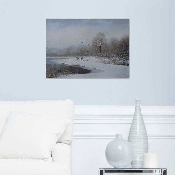 Snowlandscape with ducks