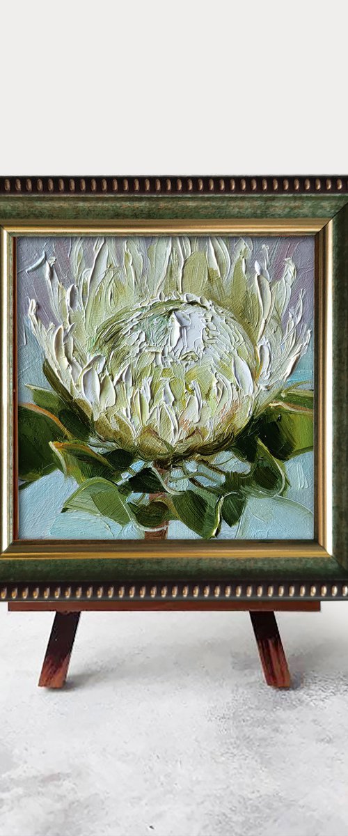 Protea flower by Nataly Derevyanko