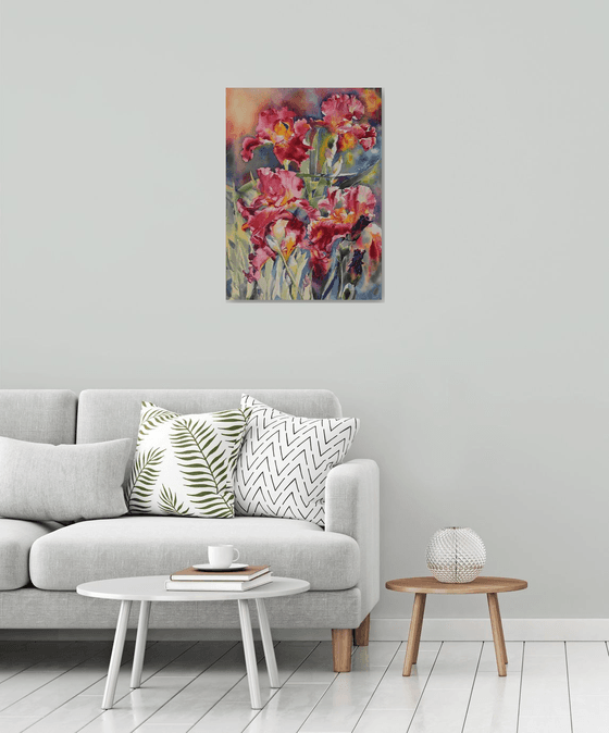 RED IRISES#2
