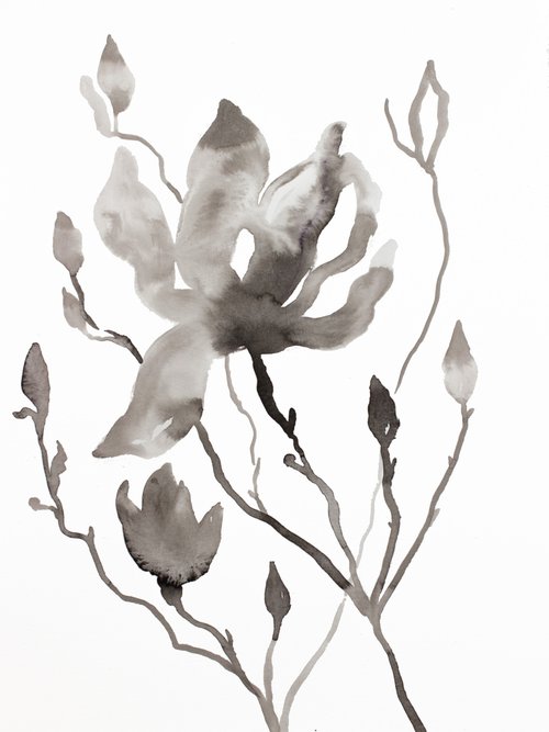 Magnolia No. 48 by Elizabeth Becker