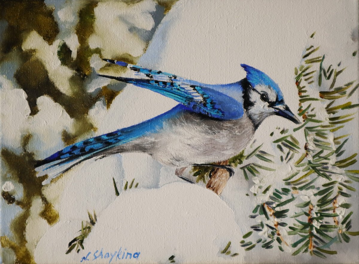 Photorealistic Oil Painting , Blue Jay On Snowy Branches, Winter Bird By Natalia Shaykina, 9 X 7, Artwork For Sale On Artfinder
