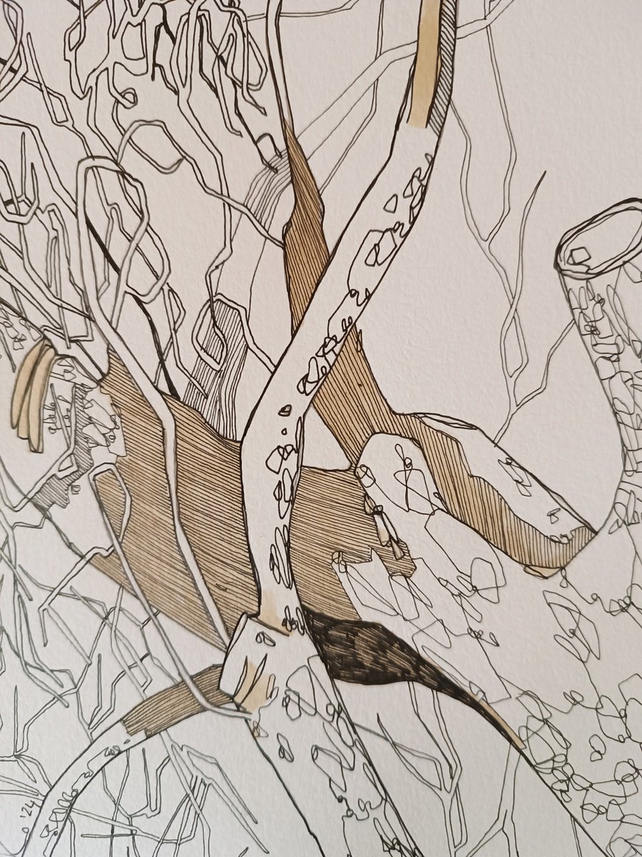 Illustrative Drawing , Draw 24.0 By Isabellangela Germinario, 12 X 16, Artwork For Sale On Artfinder
