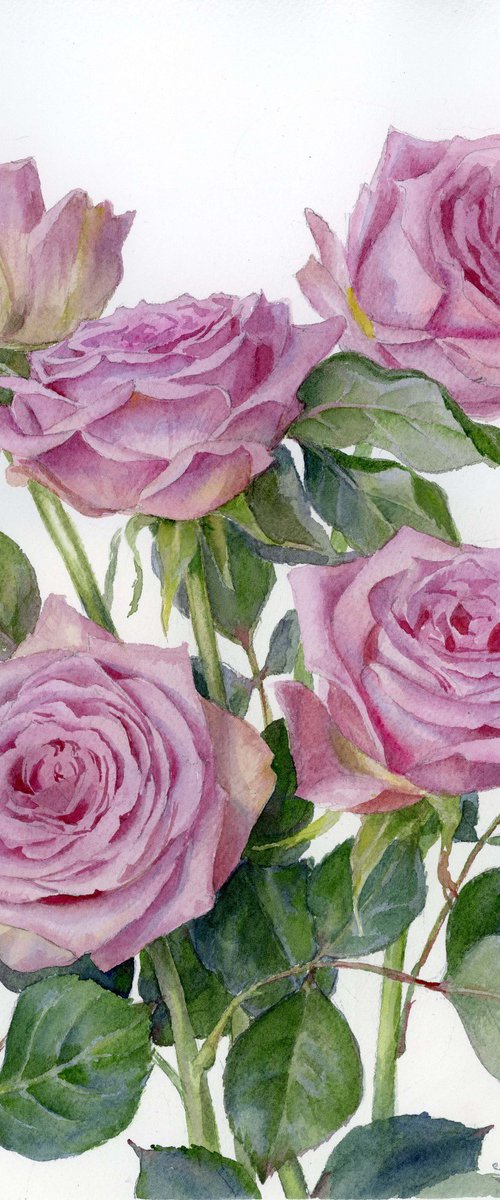 Lilac roses by Yulia Krasnov