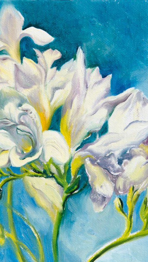 White freesias by Daria Galinski