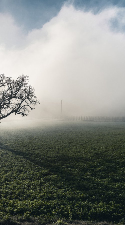 LIGHT FOG by Fabio Accorrà