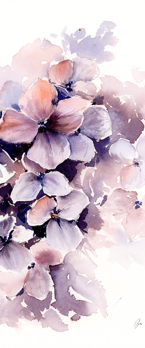 Watercolor Purple Hydrangea by Olga Koelsch