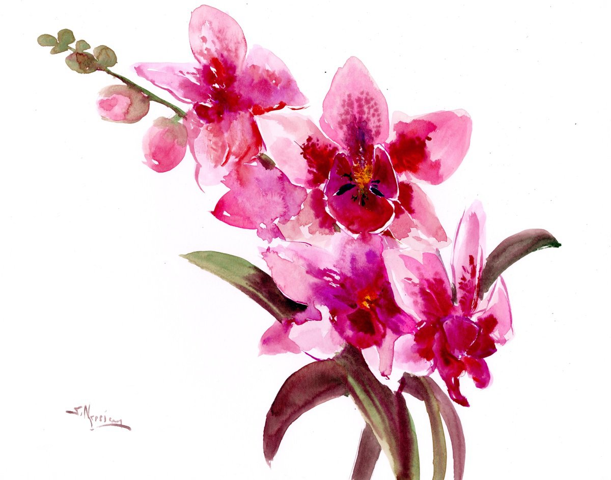 Pink-Purple Orchid Flowers by Suren Nersisyan