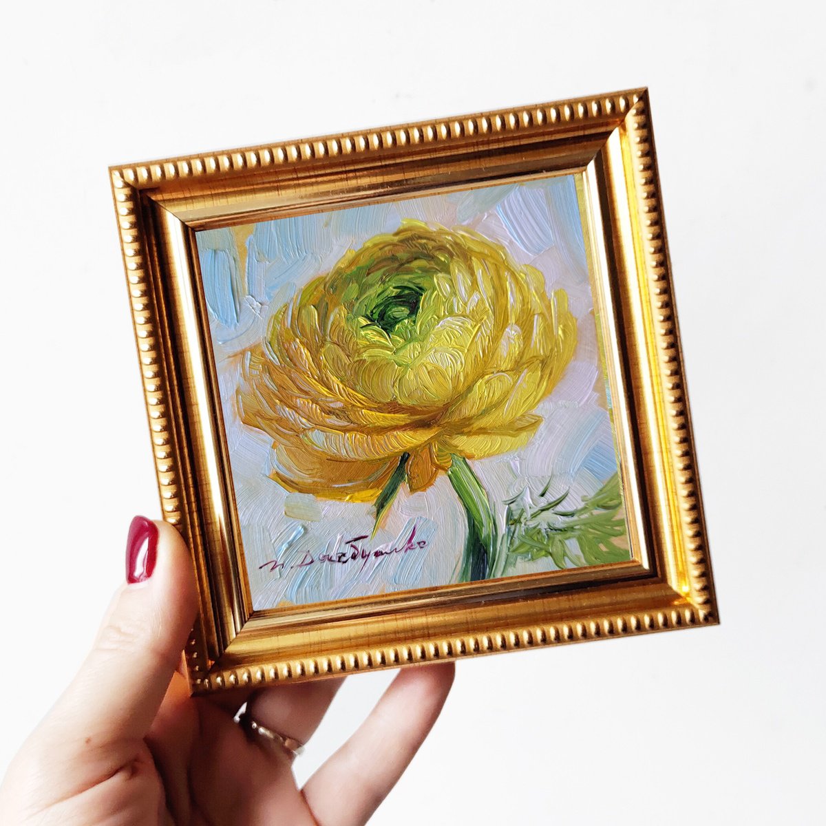 Ranunculus yellow flower by Nataly Derevyanko