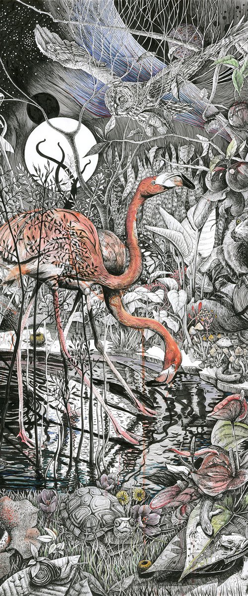 Flamingos - Giclée Print by Jarosław Gewinner