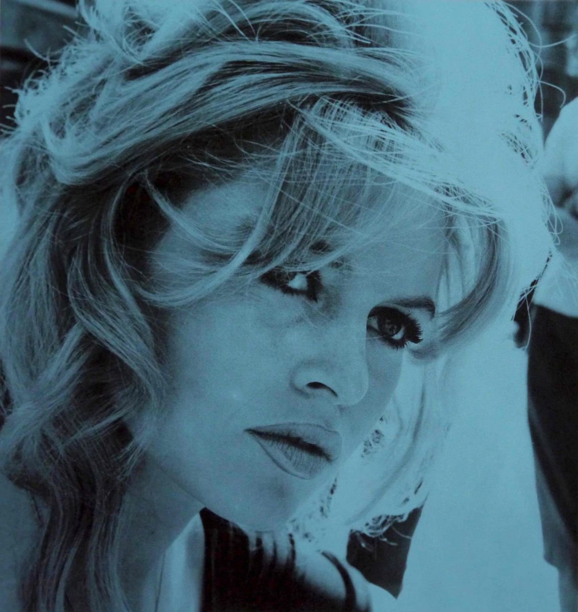 Brigitte Bardot-Powder blue by David Studwell