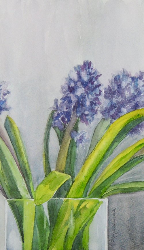 Purple Hyacinths by Krystyna Szczepanowski