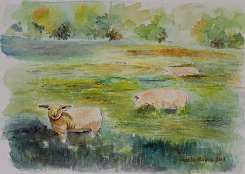 Sheep In Pasture by Geeta Yerra