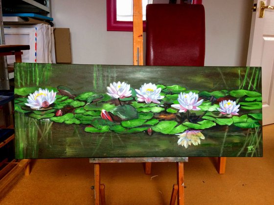 Water Lilies in a pond