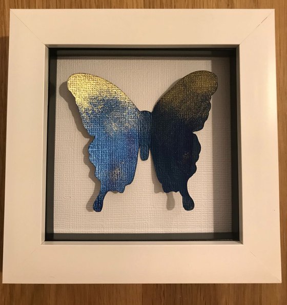 Single butterfly - Blue & Gold
