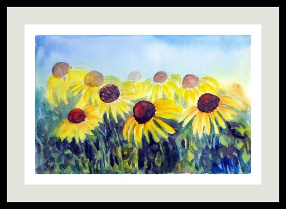The Yellow Coneflowers of  Spring