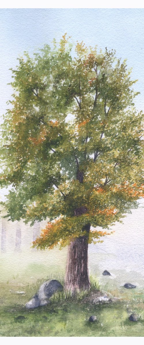 Collection of trees IV by Shweta  Mahajan