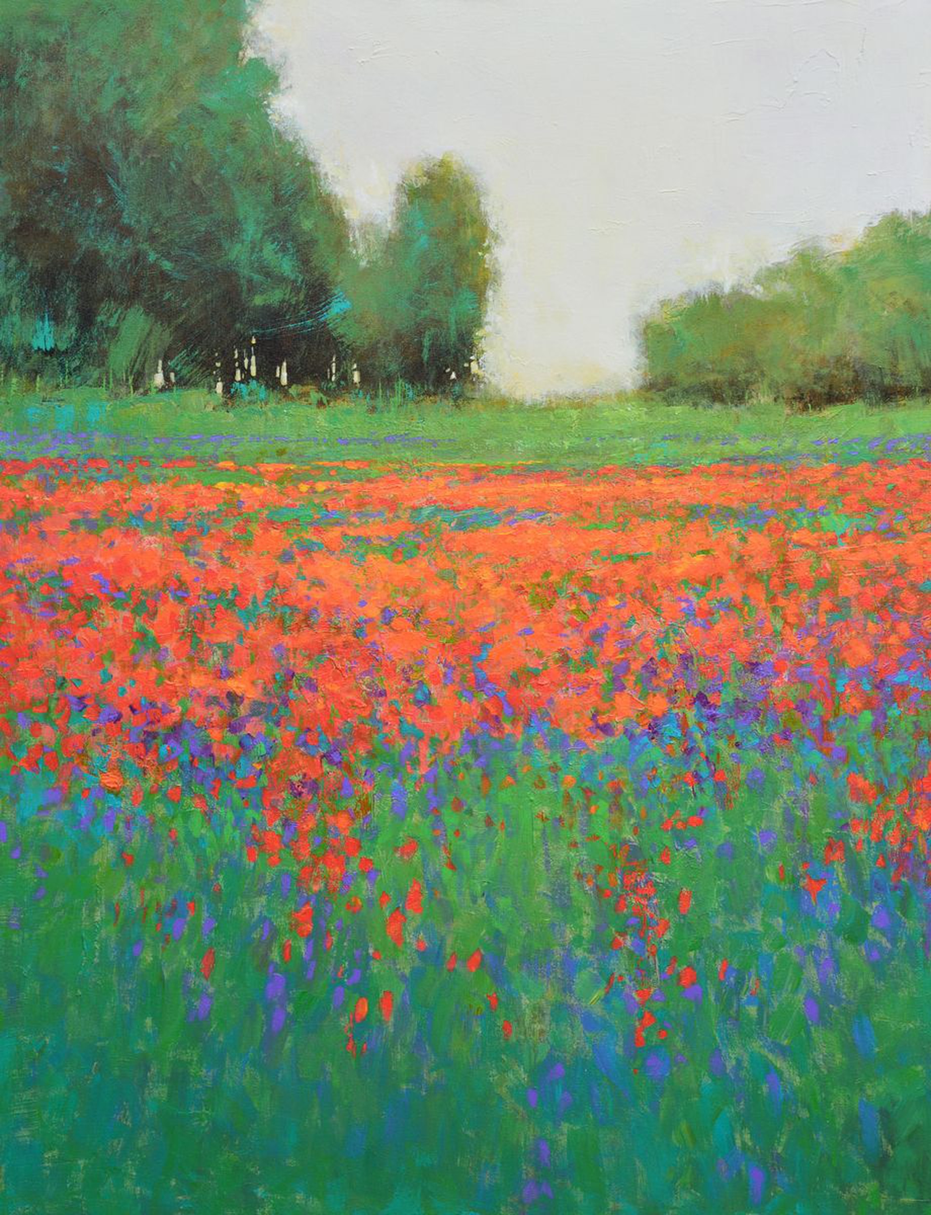 Spring Flower Field By Don Bishop Artfinder