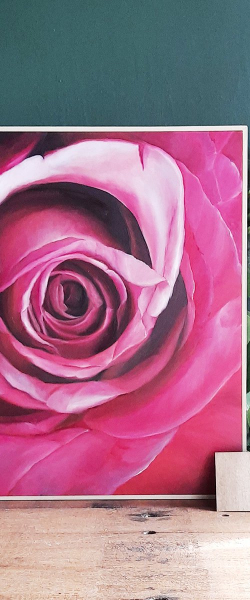 roses melody by kata mai