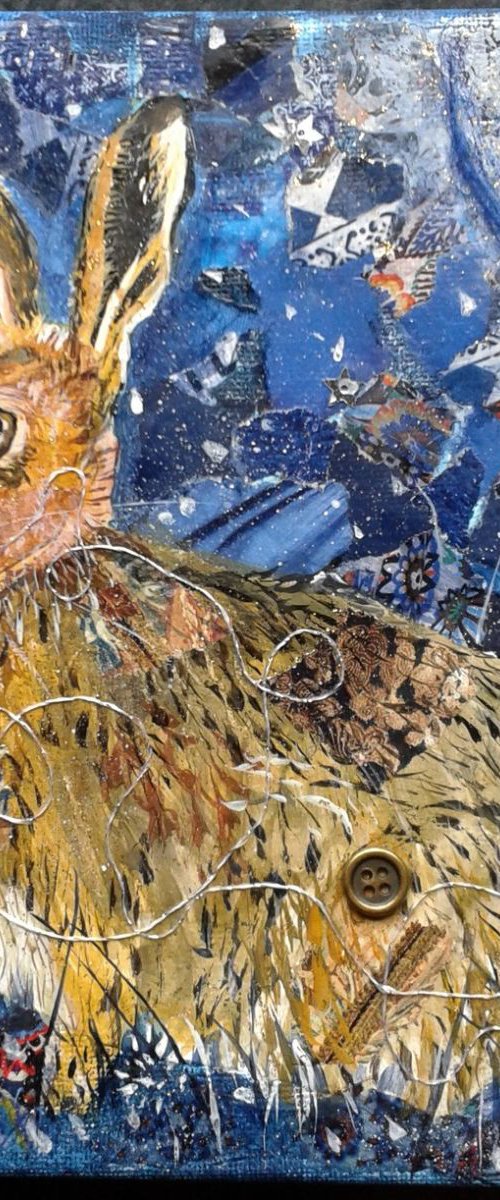 Midnight Hare by Fiona Plaisted