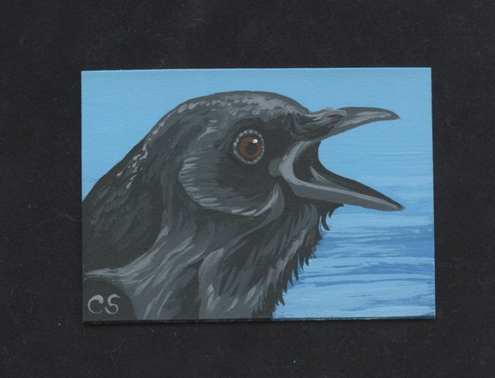 ACEO ATC Original Miniature Painting Crow Raven Bird Wildlife Art-Carla Smale