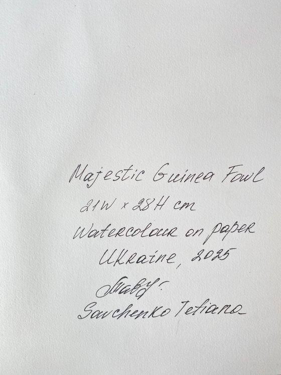 Sacred Ibis, bird portrait