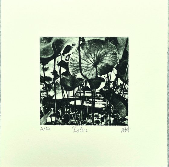 Lotus