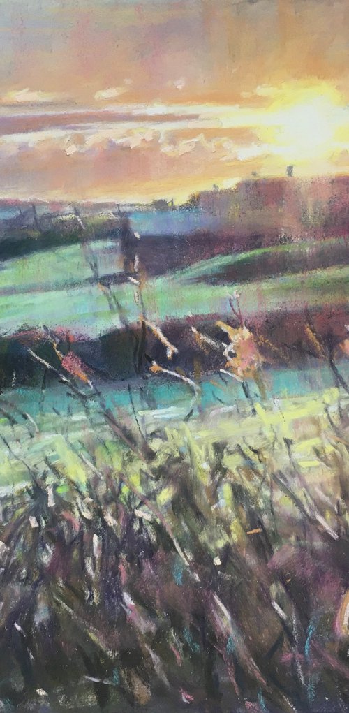 Frosty Cornish fields by Louise Gillard