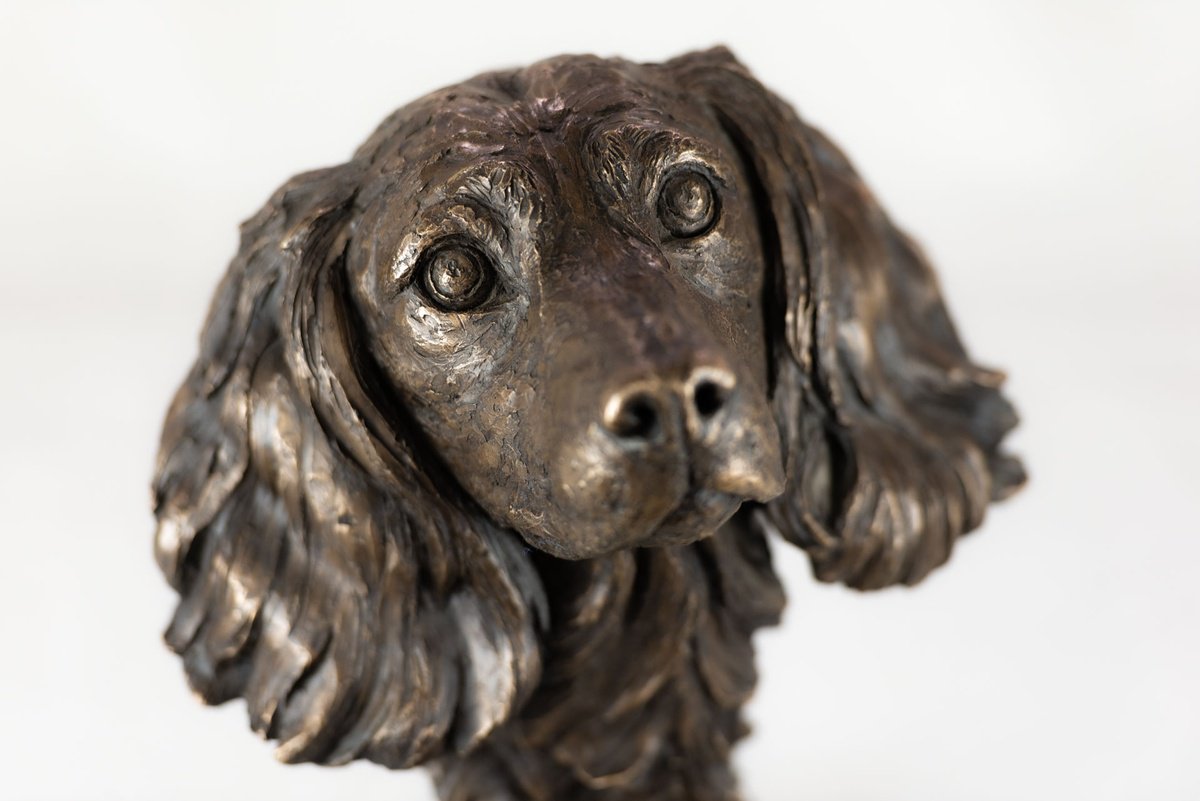 Animal Sculpture By Tanya Russell, 9 X 13", Spaniel Portrait Br, Original Artwork