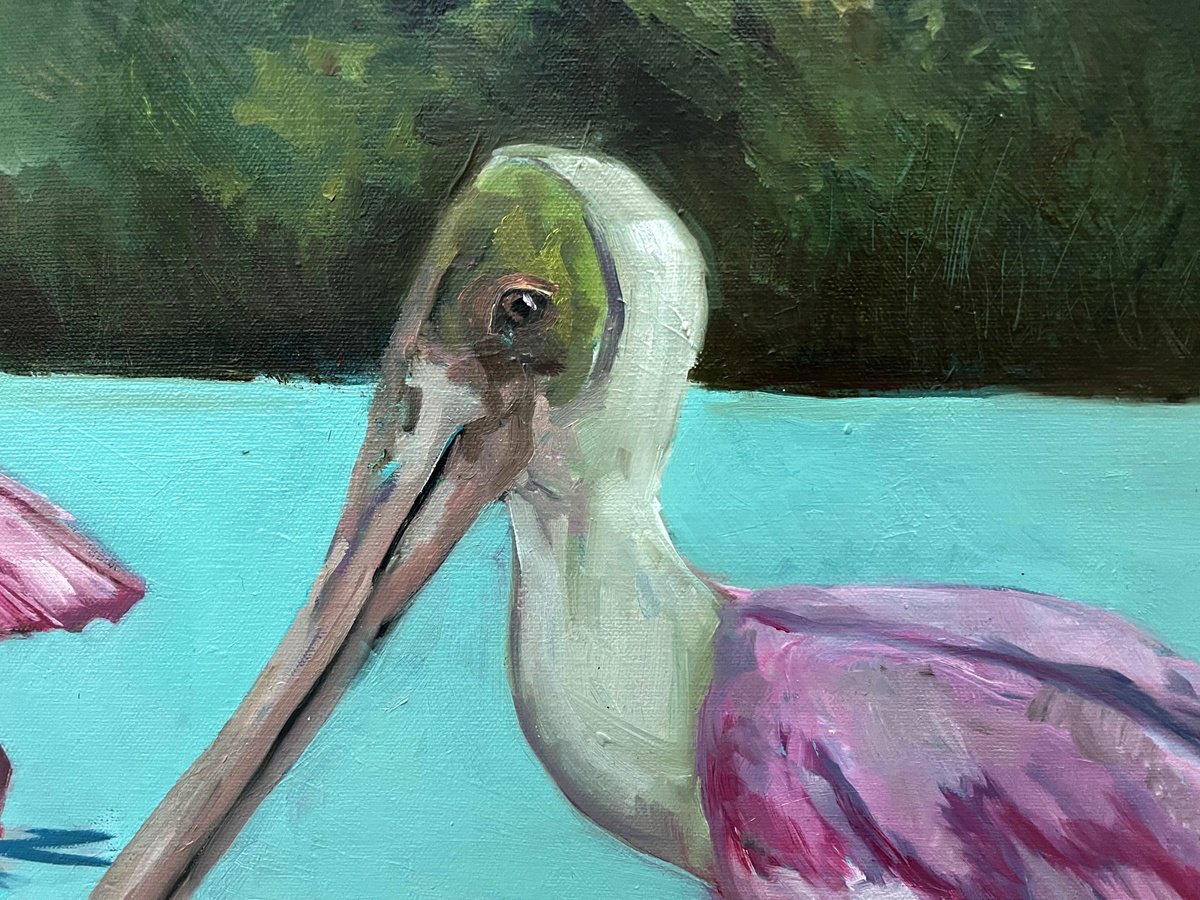 Impressionistic Animal Oil Painting By Ulli Schmitt, 31 X 24", Wild Life -Pelikans, Original Artwork