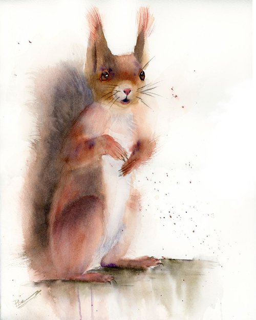 Squirrel by Olga Shefranov (Tchefranov)