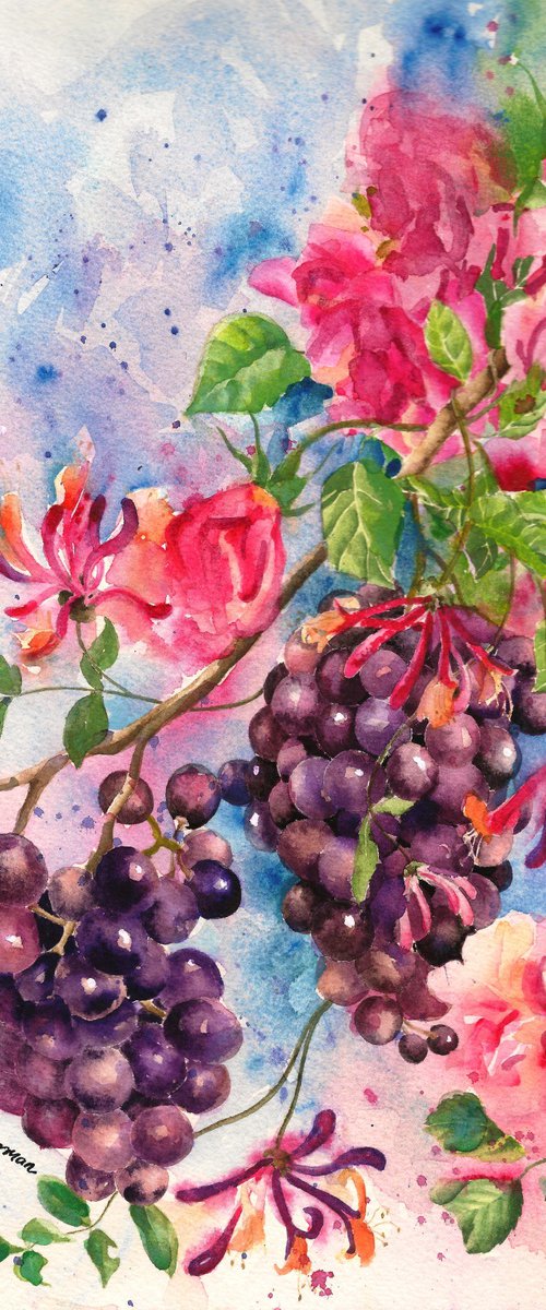 Grapes, Roses and Honeysuckle by Zoe Elizabeth Norman