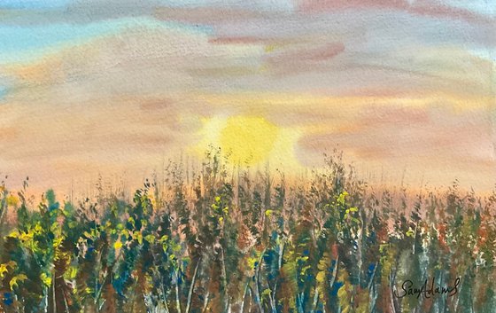 In the bushes at sunset