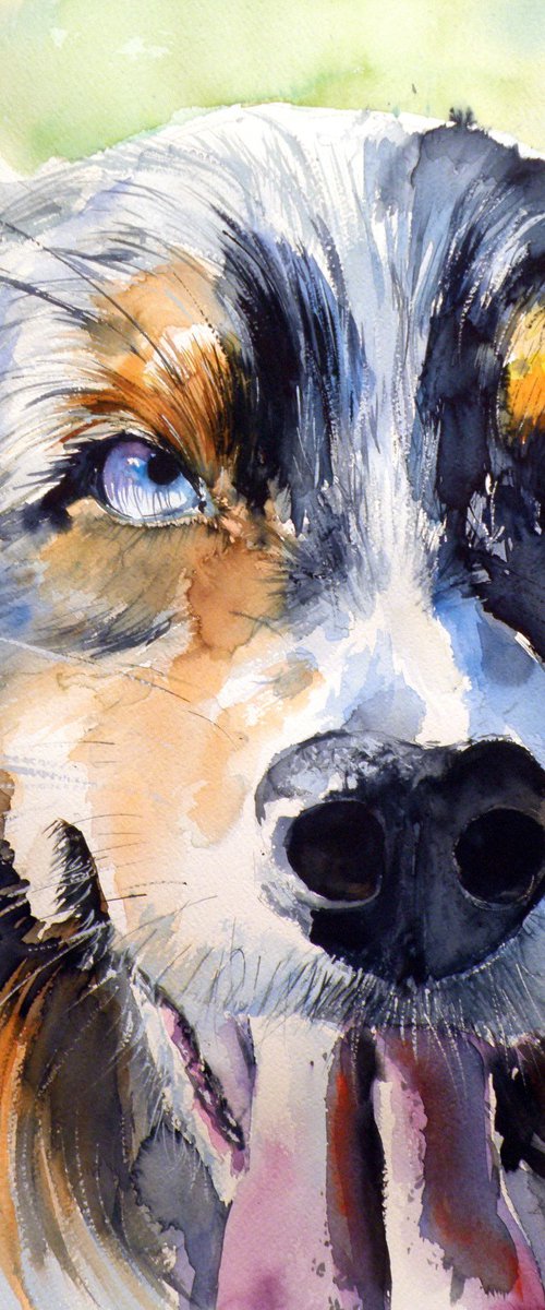 Dog portrait by Kovács Anna Brigitta