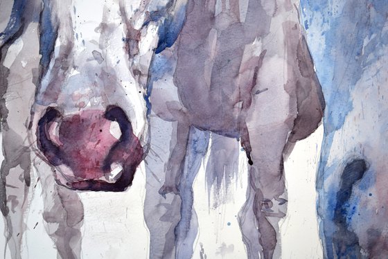 Three horses (70x50)