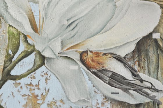 funeral of a bird in spring