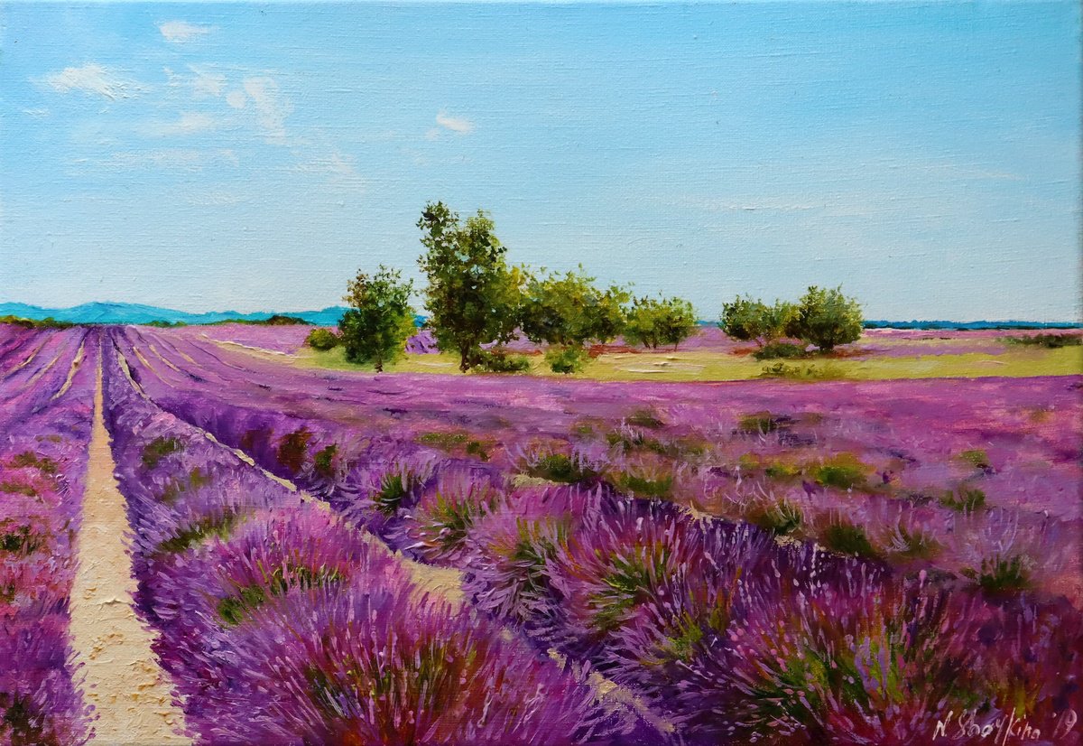 Photorealistic Oil Painting , Lavender Field Morning Light By Natalia Shaykina, 14 X 10, Artwork For Sale On Artfinder