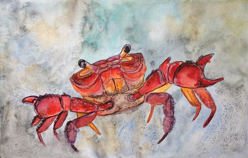Animal original painting - Red Crab mixed media watercolor - Nautical wall art - Gift idea by Olga Ivanova