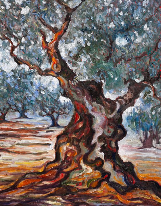 Olive Grove