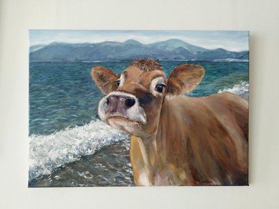 Cow At The Sea