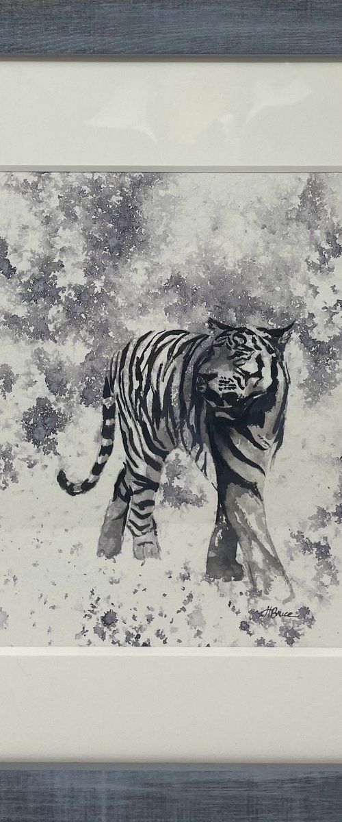 Tiger by Hannah  Bruce
