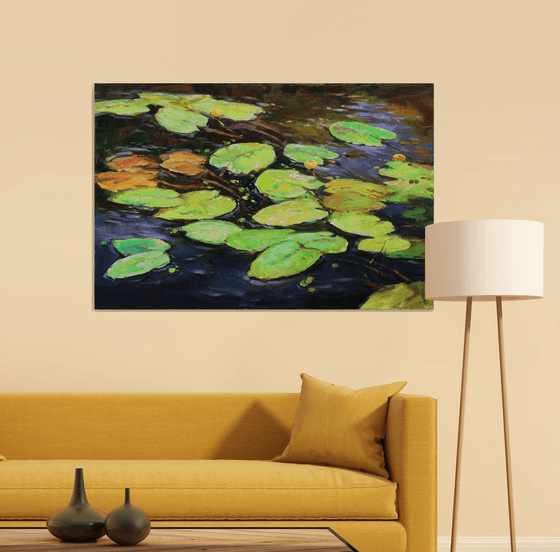 "Water lilies"