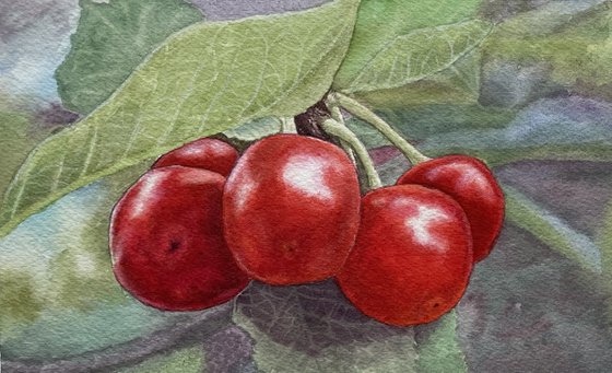Ukrainian Summer: Taras's Cherries
