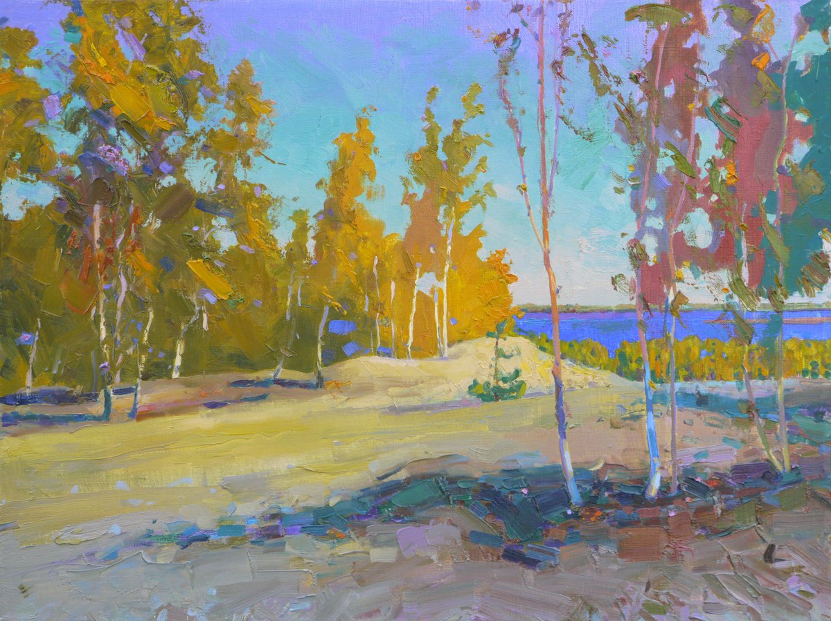Autumn near the Dnipro River by Victor Onyshchenko