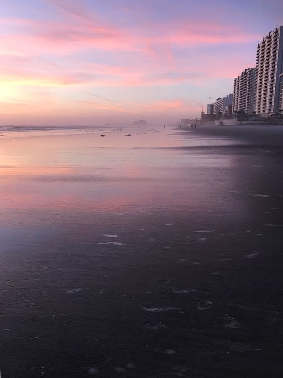 Purple Daytona Beach