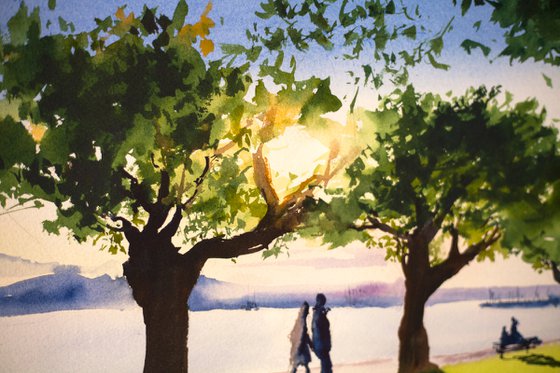 Evening in Zug. Walk near the lake. Switzerland nature sunset landscape watercolor mood interior green sun shadow light